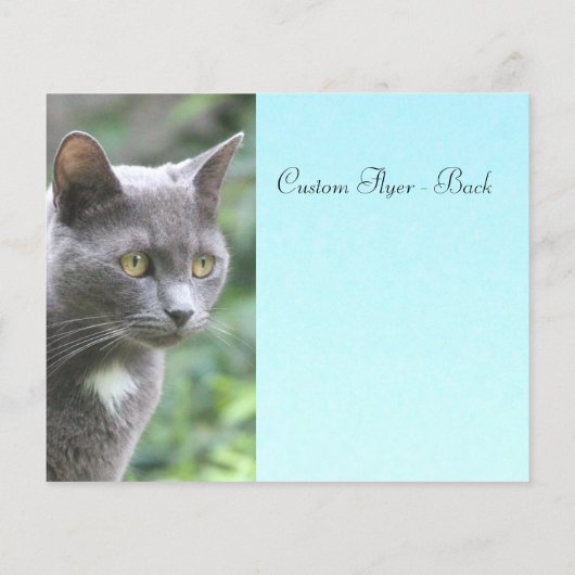 Grijs Kat met blauw Flyer (Achterkant)