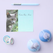 Grijs Kat met blauw Flyer (Enkel)