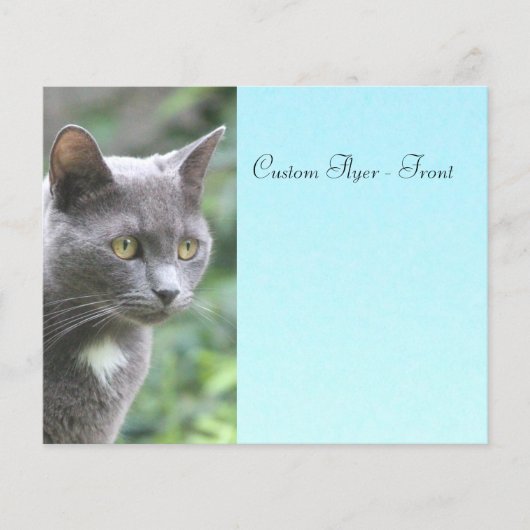 Grijs Kat met blauw Flyer (Voorkant)