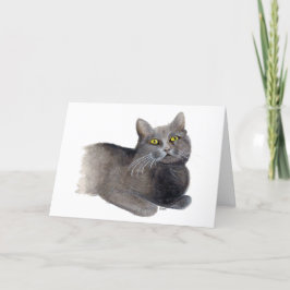 Grijs kat sympathie kaart