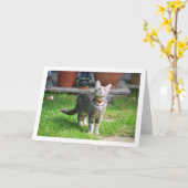 Grijs katje in tuin kaart (Gele Bloem)