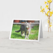 Grijs katje in tuinportret kaart (Gele Bloem)