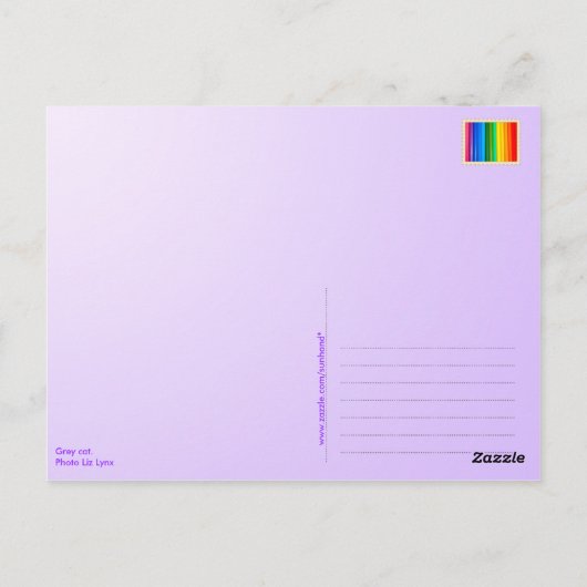 Grijs kattenbriefkaart briefkaart (Achterkant)