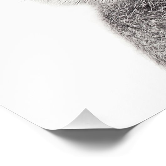 Grijs konijn met lange roze oren foto afdruk (Hoek)