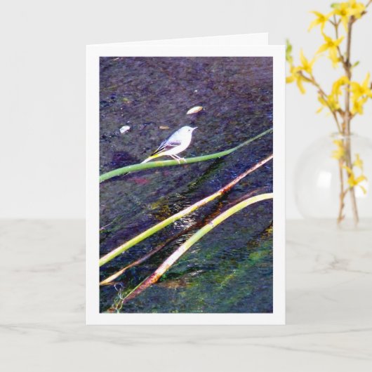 Grijs Kwispelportret Kaart (Gele Bloem)