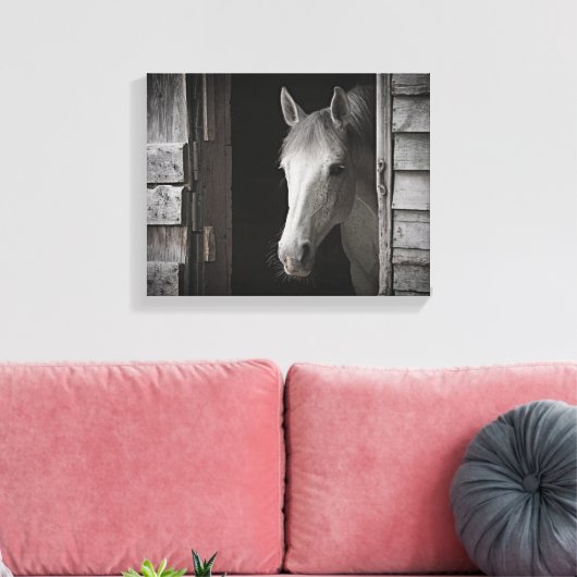 Grijs Mare Paard B&W PAARDEN Verpakt Canvas (Insitu (Woonkamer))