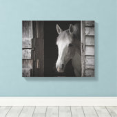 Grijs Mare Paard B&W PAARDEN Verpakt Canvas (Insitu (Houten vloer))