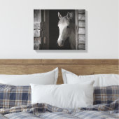 Grijs Mare Paard B&W PAARDEN Verpakt Canvas (Insitu (Slaapkamer))