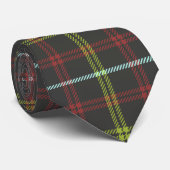 Grijs, Mossgroen, Roestrood, Aqua Tartan Plaid Stropdas (Opgerold)