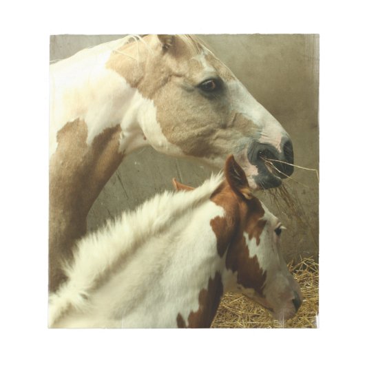 Grijs Notitieblok van het paard Eventing (Voorkant)