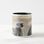 Grijs of gewone of Hanuman langur (Semnopithecus) Tweekleurige Koffiemok (Center)