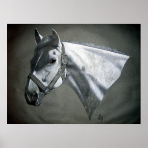 Grijs op Grijs Paarden Kunst Poster