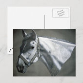 Grijs op Grijze paardenkunst Briefkaart (Voorkant / Achterkant)