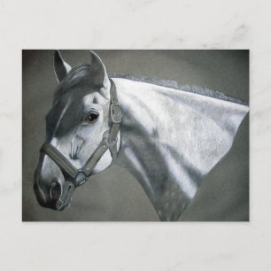 Grijs op Grijze paardenkunst Briefkaart