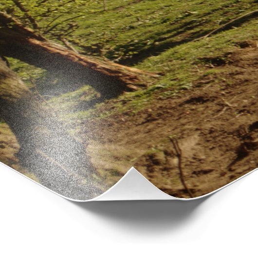 Grijs op het Boerderij Tarvit Foto Afdruk (Hoek)