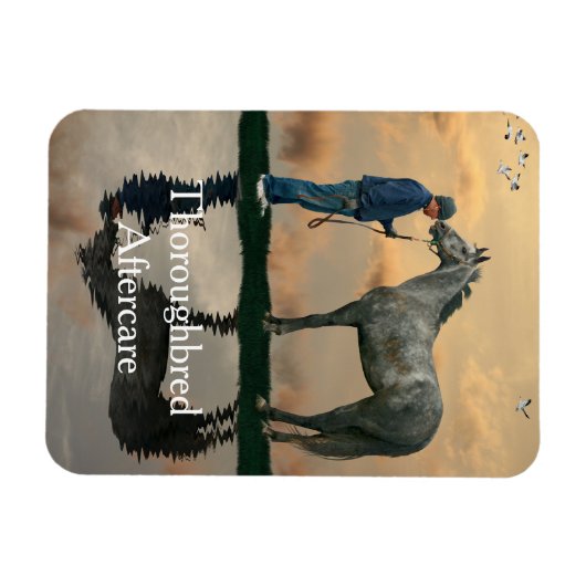 Grijs Paard en bruidegom OTTB flexibele magneet (Horizontaal)