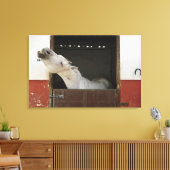 Grijs paard in een stal canvas afdruk (Insitu (Woonkamer))
