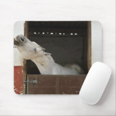 Grijs paard in een stal muismat (Met muis)
