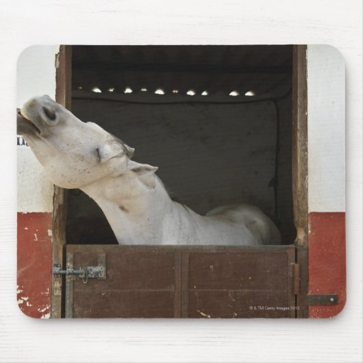 Grijs paard in een stal muismat (Voorkant)