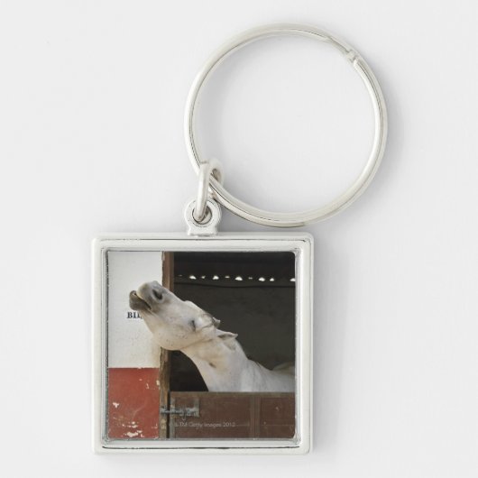 Grijs paard in een stal sleutelhanger (Voorkant)