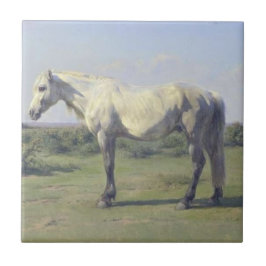 Grijs Paard in een Veld (door Rosa Bonheur) Tegeltje