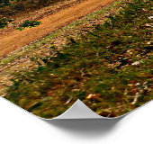 Grijs paard inspirerend Timothy Bible Verse God Poster (Hoek)