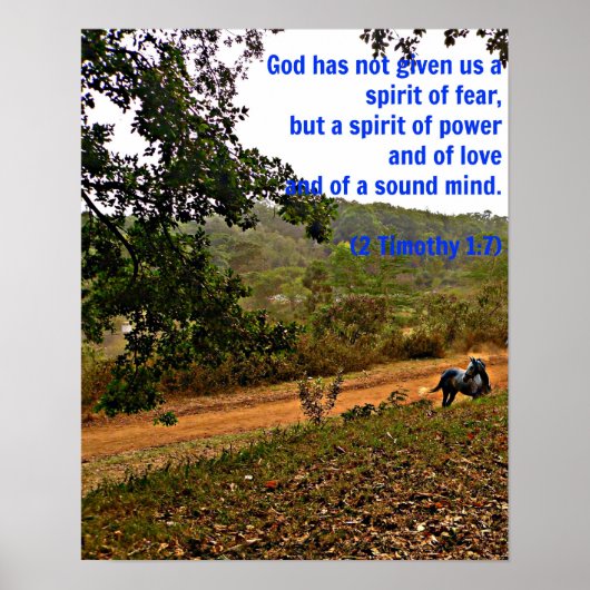 Grijs paard inspirerend Timothy Bible Verse God Poster (Voorkant)