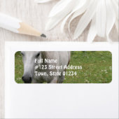 Grijs Paard Mailing Labels (Insitu)