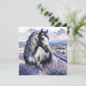 Grijs Paard Staande In Lavendel (Staand voorkant)