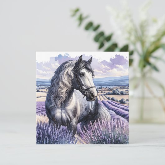 Grijs Paard Staande In Lavendel (Staand voorkant)