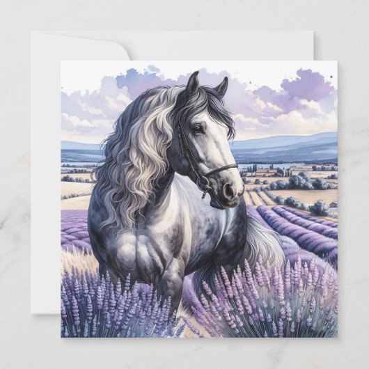  Grijs Paard Staande In Lavendel (Voorkant)