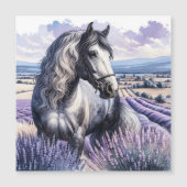 Grijs Paard Staande In Lavendel (Voorkant)