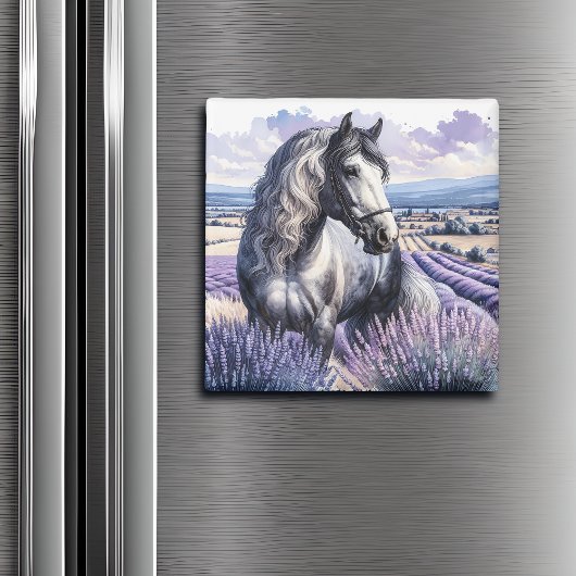 Grijs Paard Staande In Lavendel Magneet