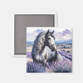 Grijs Paard Staande In Lavendel Magneet (Voorkant / Achterkant)