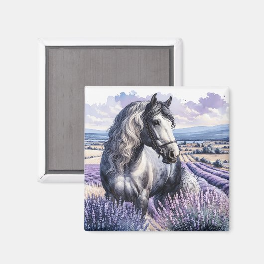  Grijs Paard Staande In Lavendel Magneet (Voorkant / Achterkant)