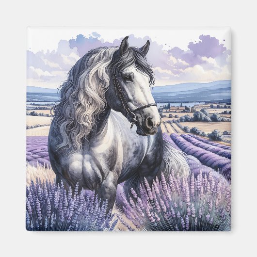  Grijs Paard Staande In Lavendel Magneet (Voorkant)