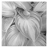 Grijs patroon Bladeren Botanisch decoratief  Tegeltje (Voorkant)