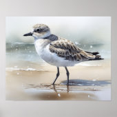 Grijs Plover Bird Art Print Poster (Voorkant)