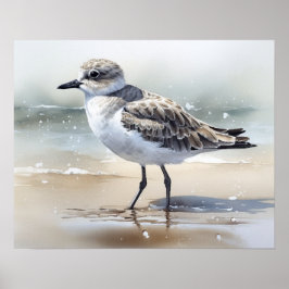 Grijs Plover Bird Art Print Poster