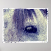  grijs poster (Voorkant)