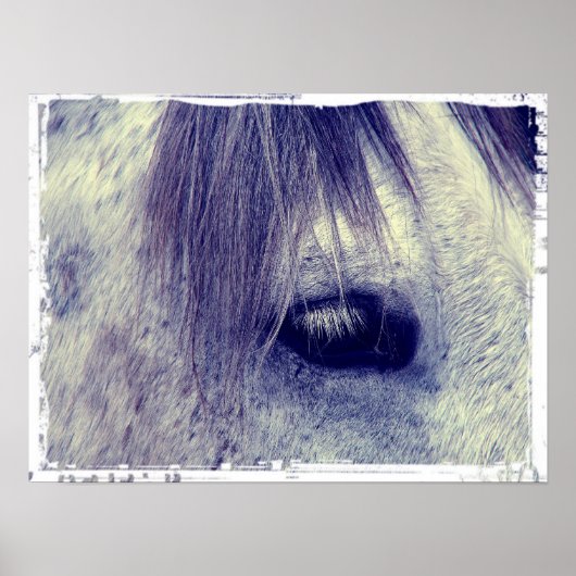  grijs poster (Voorkant)