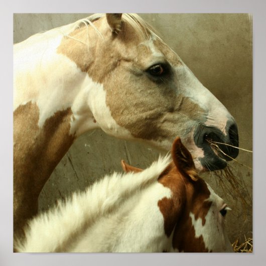 Grijs Poster van het paard Eventing (Voorkant)