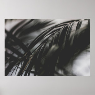 GRIJS SCHAALFOTO VAN PLANT LEVEREN POSTER