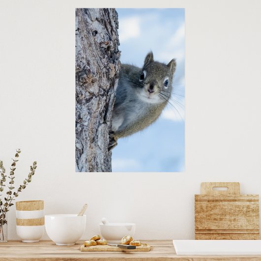 Grijs speelse eekhoorn poster (Keuken)