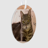 grijs tabby cat-ornament ornament (voorkant)