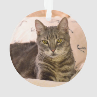 grijs tabby cat-ornament ornament