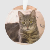 grijs tabby cat-ornament ornament (voorkant)