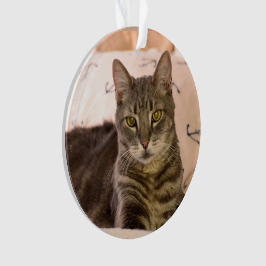 grijs tafelblad kattenversiering ornament (voorkant)