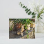 grijs tafeltje met schattige straathankruising briefkaart (Staand voorkant)