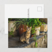 grijs tafeltje met schattige straathankruising briefkaart (Voorkant / Achterkant)